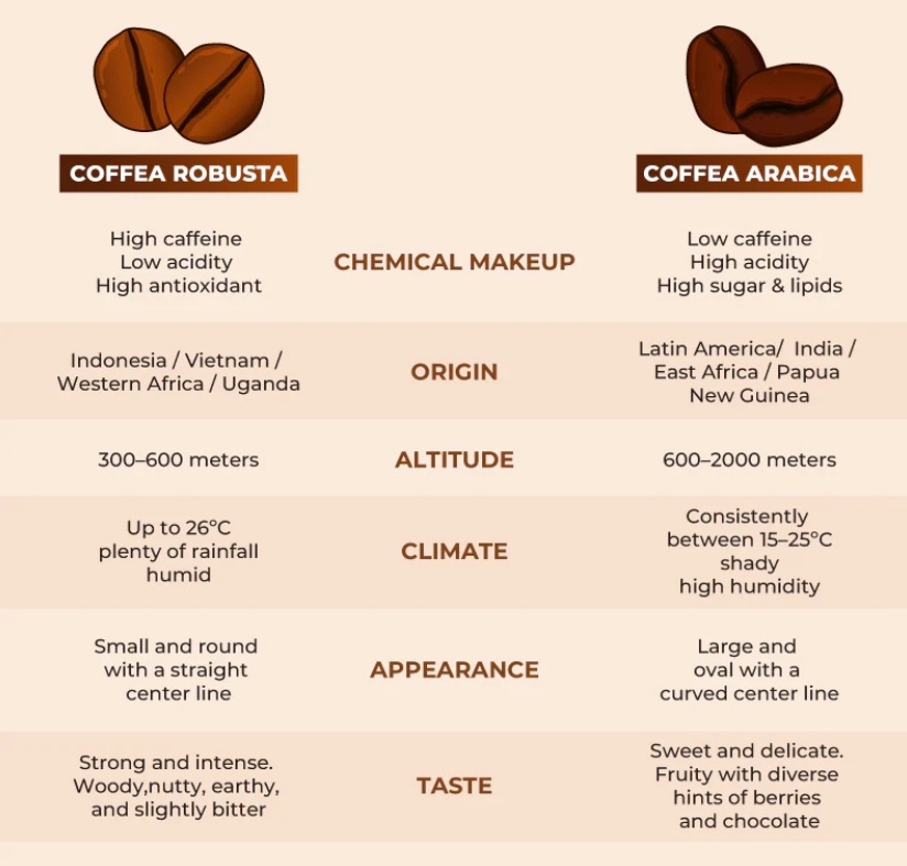 Perbedaan Kopi Arabika dan Robusta